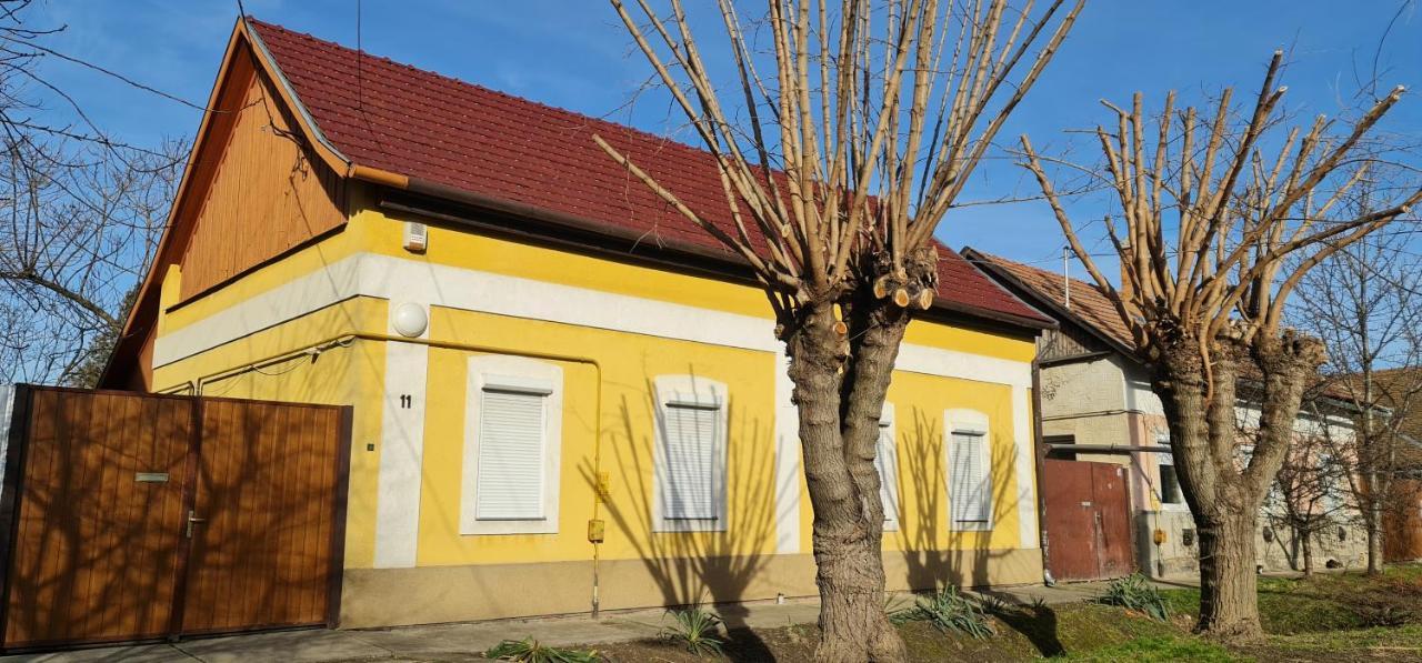 Apartament Koelcsey Vendeghaz Hódmezővásárhely Zewnętrze zdjęcie
