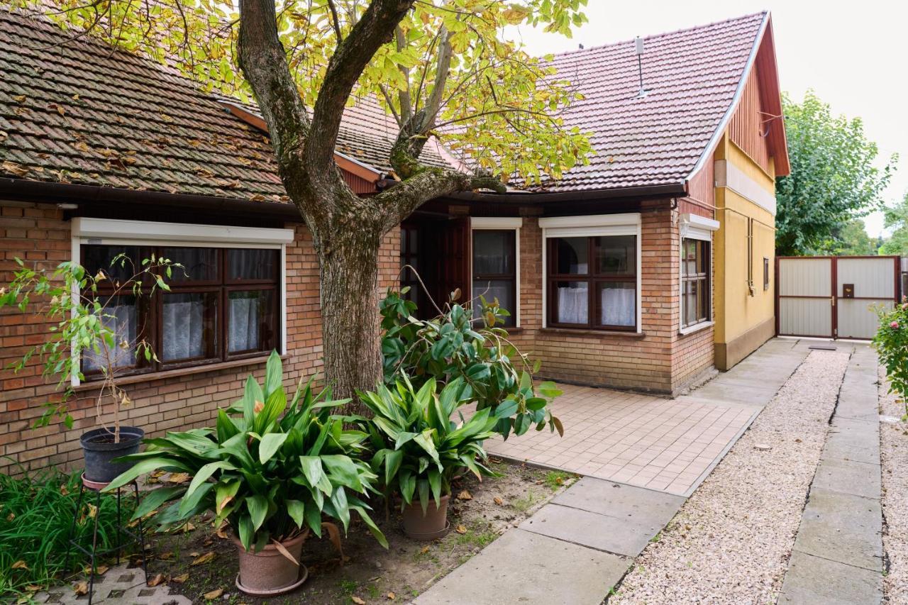Apartament Koelcsey Vendeghaz Hódmezővásárhely Zewnętrze zdjęcie